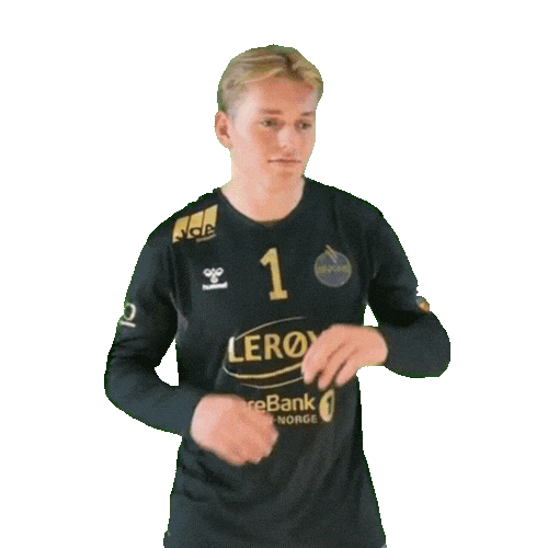 Bergen Rema1000Ligaen Sticker by Norsk Topphåndball