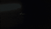 Lyric Video GIF by Dalton Dover