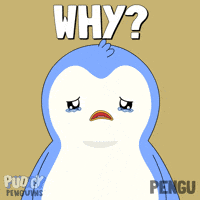 Why Me No GIF by Pudgy Penguins