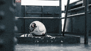 North Carolina Wolfpack GIF by NC State Athletics
