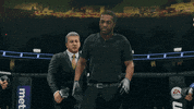Conor Mcgregor Fight GIF by EA SPORTS UFC