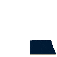 Growing Big Tree Sticker by Wilderness Society