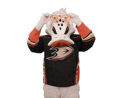 Ice Hockey Sticker by NHL