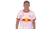 Celebrating Red Bull Sticker by FC Red Bull Salzburg