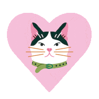 Cat Lady Love Sticker