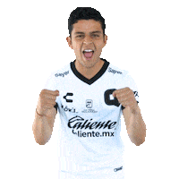 Liga Mx Gallos Sticker by Club Querétaro
