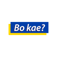 Visa_sa how much visasa bo kae Sticker