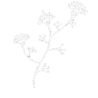 Flower Sticker