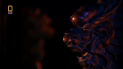 capital of china beijing GIF