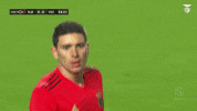 Sl Benfica Darwin GIF by Sport Lisboa e Benfica