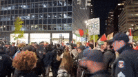 Massive Pro-Palestine Protest Marches Through Manhattan