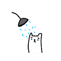 Sad Cat Sticker