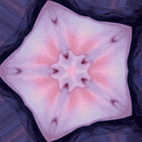 face kaleidoscope GIF by chuber channel
