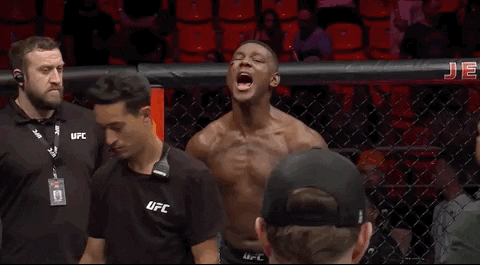 Sport Yell GIF by UFC