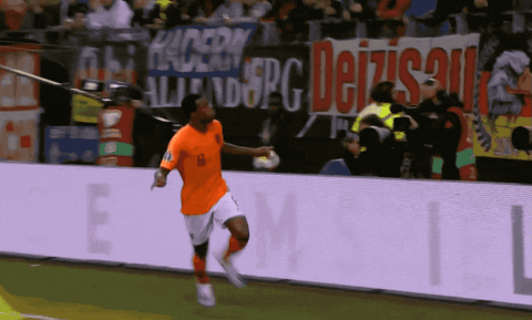 Football Player Soccer GIF by Gini Wijnaldum