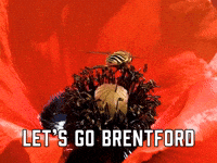 Let's Go Brentford