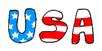 American Usa Sticker