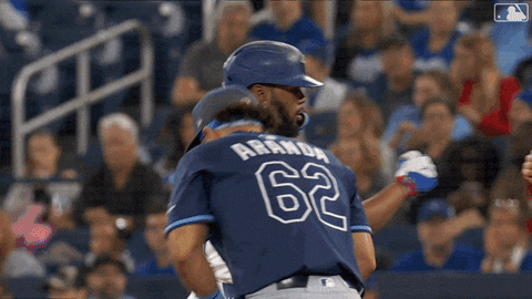 Blue Jays Baseball GIF by Toronto Blue Jays