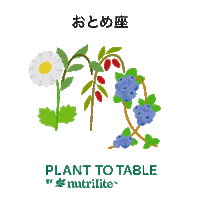 amwayjapan nutrilite 星座 ニュートリライト plant to table Sticker