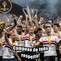 Spfcnacao_ palmeiras santos tricolor corinthians GIF