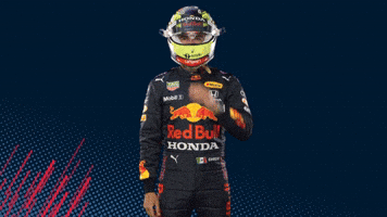 Red Bull Sport GIF by Oracle Red Bull Racing