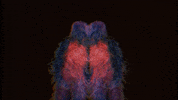 Dance Dancing GIF by Island Records Australia