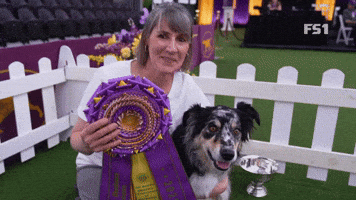 The Masters Obedience Championship At Westminster