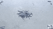 education learn GIF by Science Friday