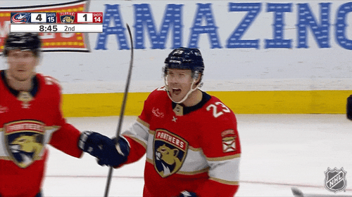 Excited Celebration GIF by NHL