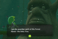 The Legend Of Zelda Gamecube GIF