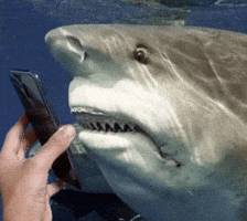 Disappointed Instagram GIF