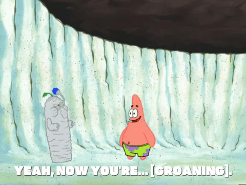 season 4 GIF by SpongeBob SquarePants