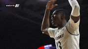 excited get up GIF by University of Cincinnati Athletics