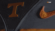 Football College GIF by Tennessee Athletics