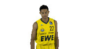 Ewe Baskets Basketball Sticker by EWE Baskets Oldenburg