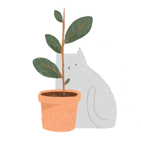 danariesgo giphyupload cat morning home Sticker