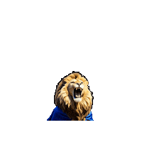 Texpateam Sticker by Grupo Texpa