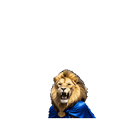 Texpateam Sticker by Grupo Texpa