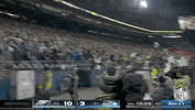 Seattle Seahawks Football GIF by NFL