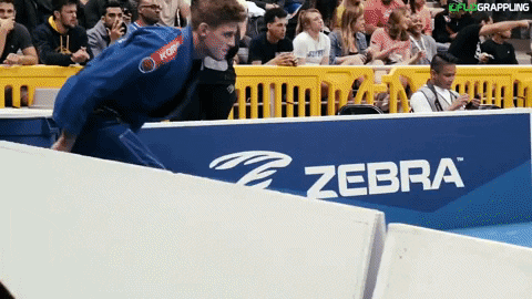 jiujitsu grappling GIF