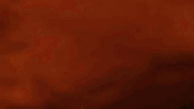water park travel GIF