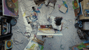 Live Sports Painting GIF by HULU