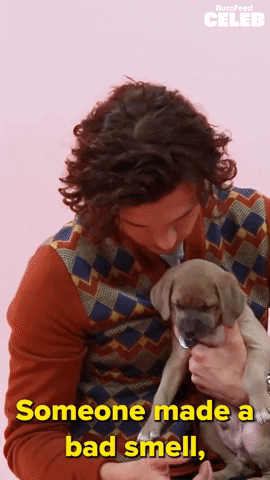Tom Holland Dog GIF by BuzzFeed