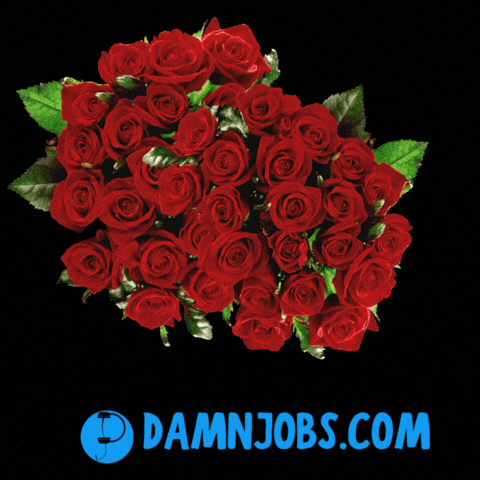 Valentines Day Love GIF by Damnjobs