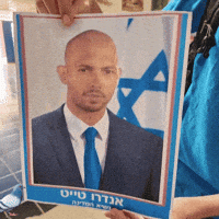 Carrier Pigeon Israel GIF