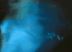 vitekim giphyupload GIF