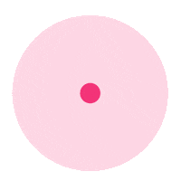Rosa Ola Sticker by bagues