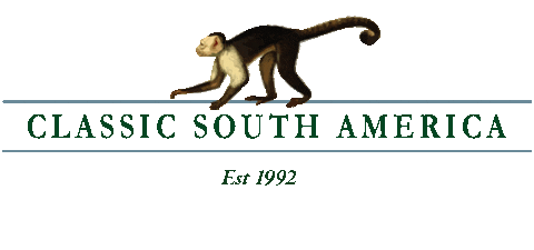 Amazon Sticker by The Classic Safari Company