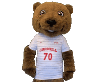 Big Red Soccer Sticker by Touchdown's Team