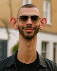Andrew Tate GIF